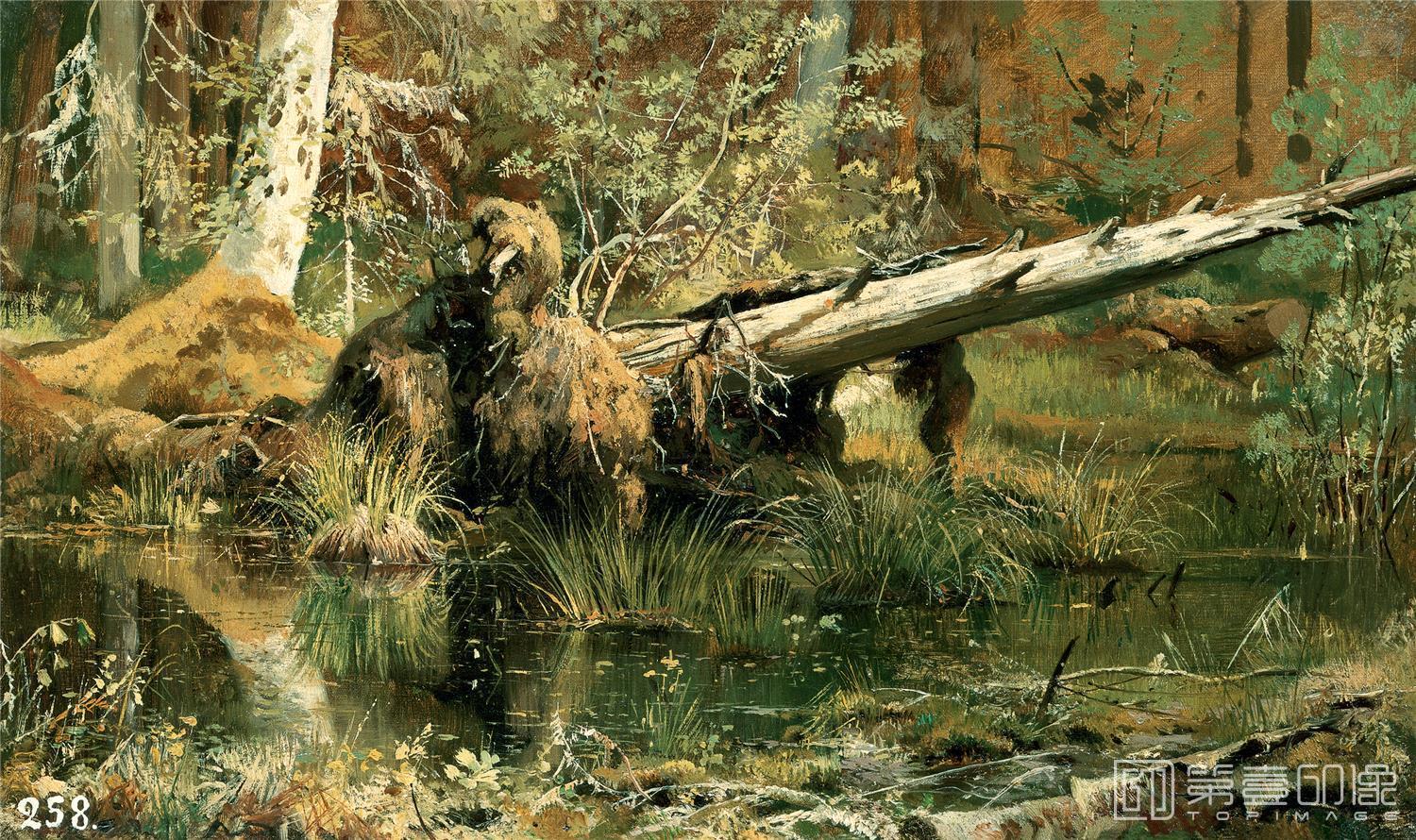 油画-伊凡·伊凡诺维奇·希施金 Ivan Shishkin作品集-62